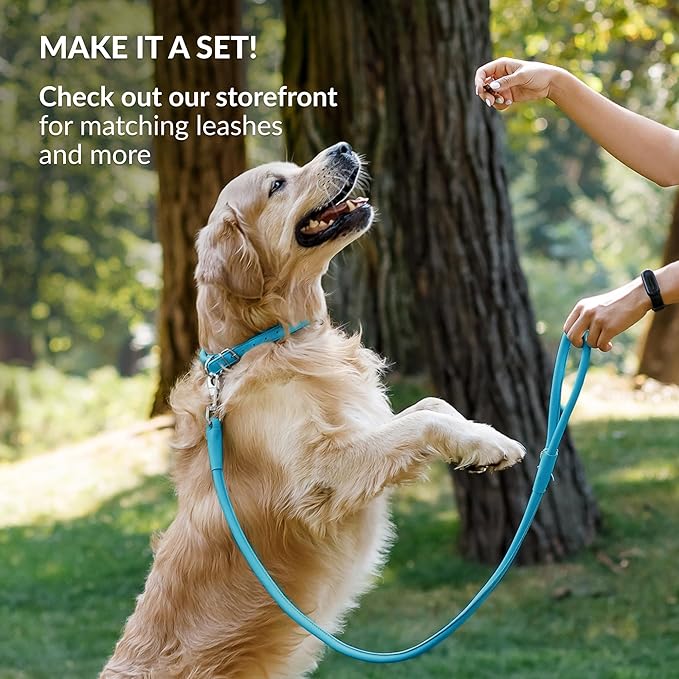 CollarDirect Reflective Rolled Leather Dog Collar, Soft Padded Round Puppy Collar, Handmade Genuine Leather Collar Dog Small Large Cat Collars 13 Colors (8-11 Inch, Light Blue Reflective)