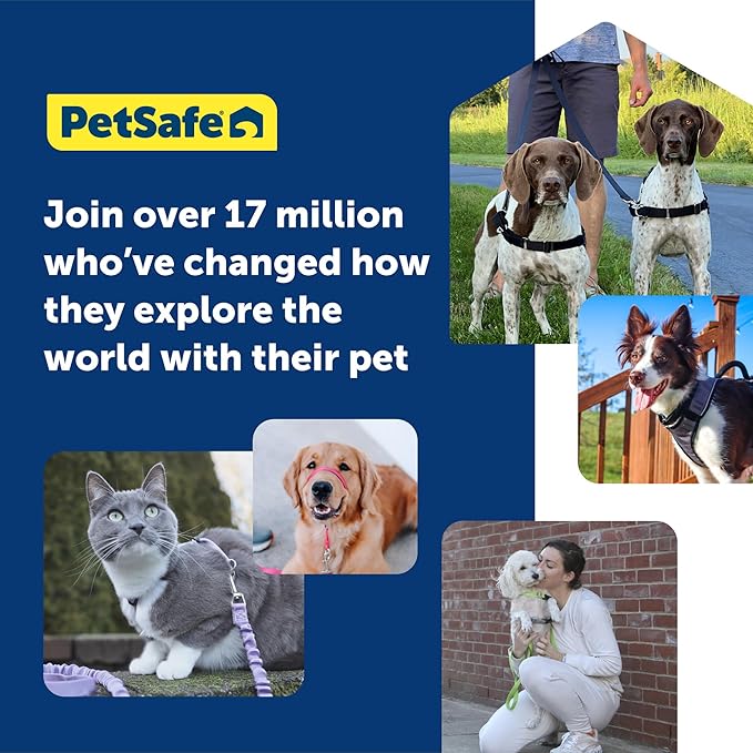 PetSafe Easy Walk No-Pull Dog Harness - Ultimate Harness to Help Stop Pulling - Pull-Free Walks - Take Control & Teach Better Leash Manners - Patented Martingale Loop Design - Royal Blue, Large