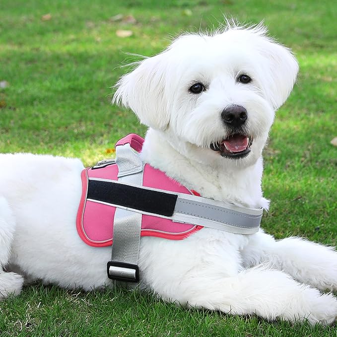 Dog Harness, No-Pull Reflective Dog Vest, Breathable Adjustable Pet Harness with Handle for Outdoor Walking - No More Pulling, Tugging or Choking (Fuchsia, X-Large (Pack of 1))