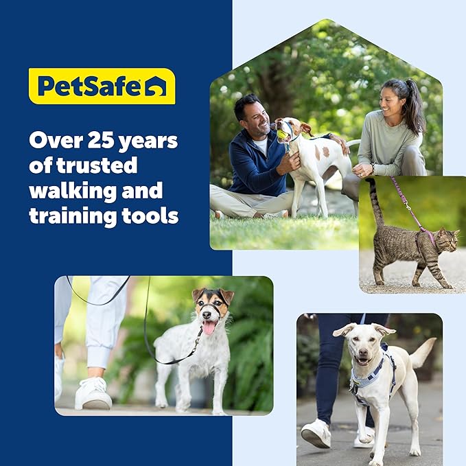 PetSafe Easy Walk No-Pull Dog Harness - Ultimate Harness to Help Stop Pulling - Pull-Free Walks - Take Control & Teach Better Leash Manners - Patented Martingale Loop Design - Purple, Medium/Large