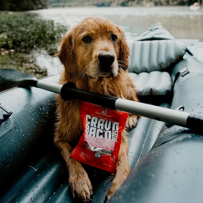 Stella & Chewy's Training Dog Treats - Crav'n Bac'n Soft Bacon & Pork Bites - Premium USA Made - Low Calorie Rewards - 8.25oz