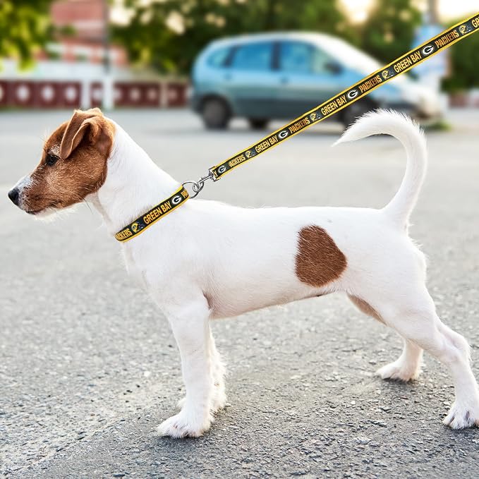 Pets First NFL Green Bay Packers Licensed PET COLLAR, Medium - Heavy-Duty, Strong, and Durable Dog Collar. Available in 31 Football Teams and 4 Sizes