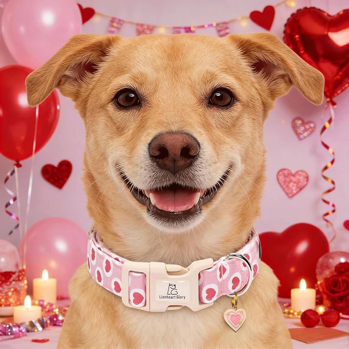 Lionheart glory Valentine's Day Dog Collar - Pink Heart Dog Collar Adjustable Soft for Medium Girl Boy Dogs Spring Party Holiday Pet Collars