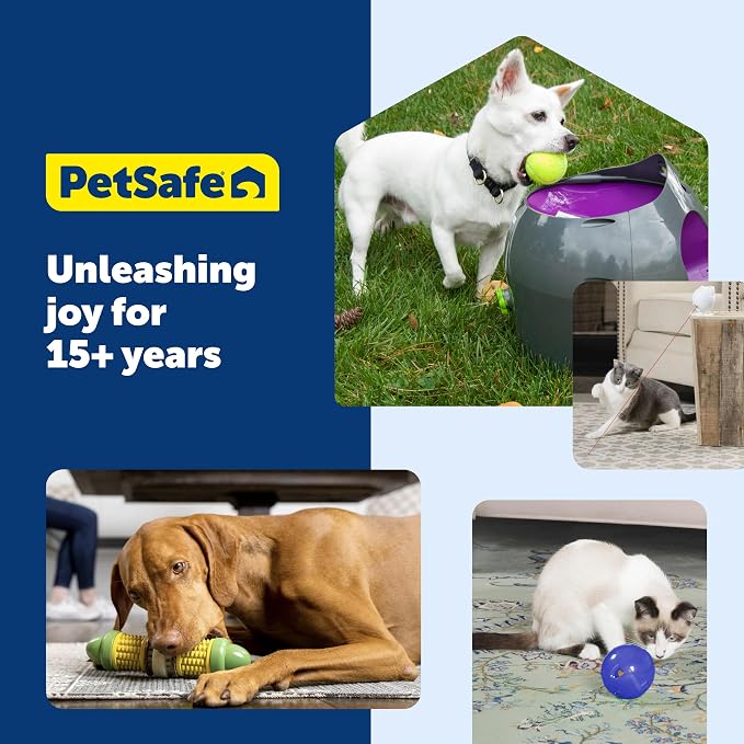 PetSafe Busy Buddy Bristle Bone, Large, Helps Keep Your Dog's Teeth Clean, Long-Lasting Playtime