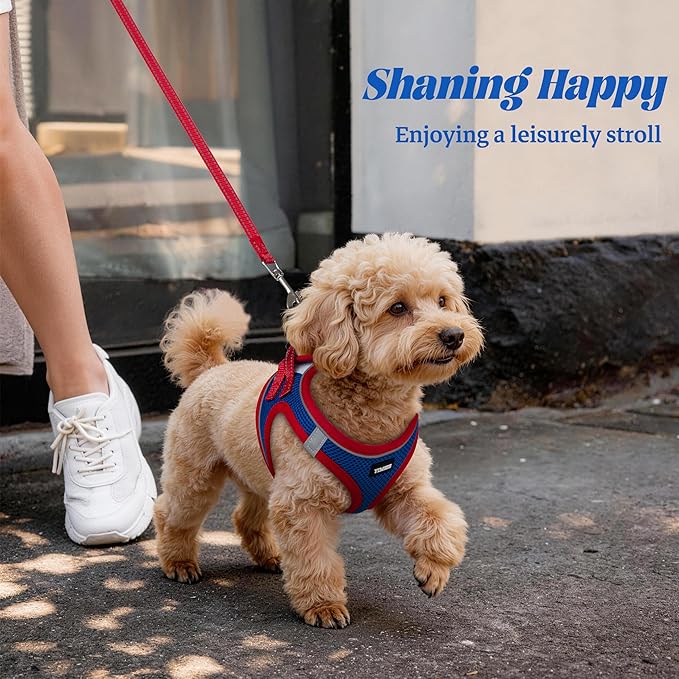 YIMEIS Dog Harness and Leash Set, No Pull Soft Mesh Pet Harness, Reflective Adjustable Puppy Vest for Small Medium Large Dogs, Cats (Red & Blue, X-Small (Pack of 1)