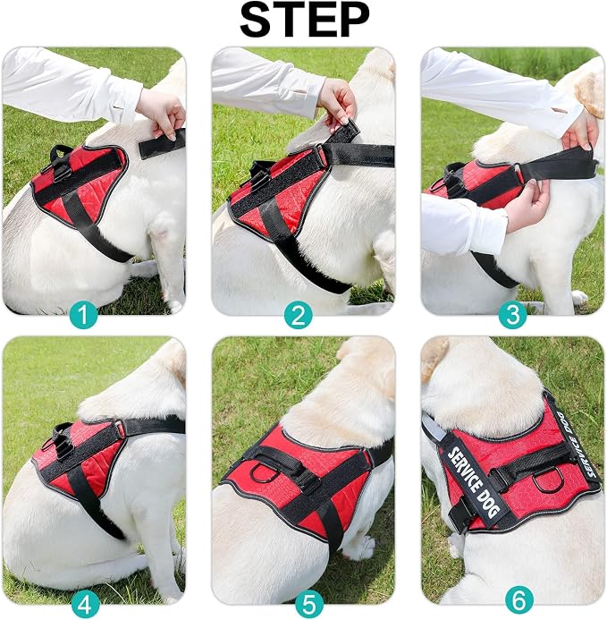 MUMUPET Custom Dog Harness Vest with 2 Personalized Name & Phone Patches, No Pull Reflective Adjustable with Handle, Soft Breathable Padding for Medium Dogs (Red, M)