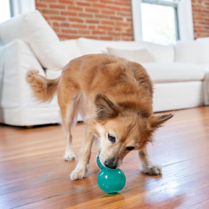 Outward Hound Double-Tuff Stuffable Dog Toy, Medium Blue, 3.9" x 2.5" – Treat Dispensing Chew Ball for Small to Medium Dogs, Interactive Puzzle Toy for Enrichment & Slow Feeding