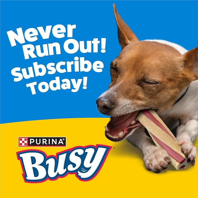 Purina Busy with Beggin’ Twist’d Mini Adult Dog Chew Bone Treats - 12 ct. Pouch