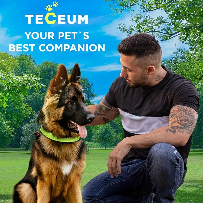 TECEUM Reflective Dog Collar – Acid Green – XL – Extra Soft Padding – Basic Nylon Pet Collar – Quick Release Buckle – Fits Small, Medium and Large Dogs, Puppies, Cats – ESA & Service Dog Options