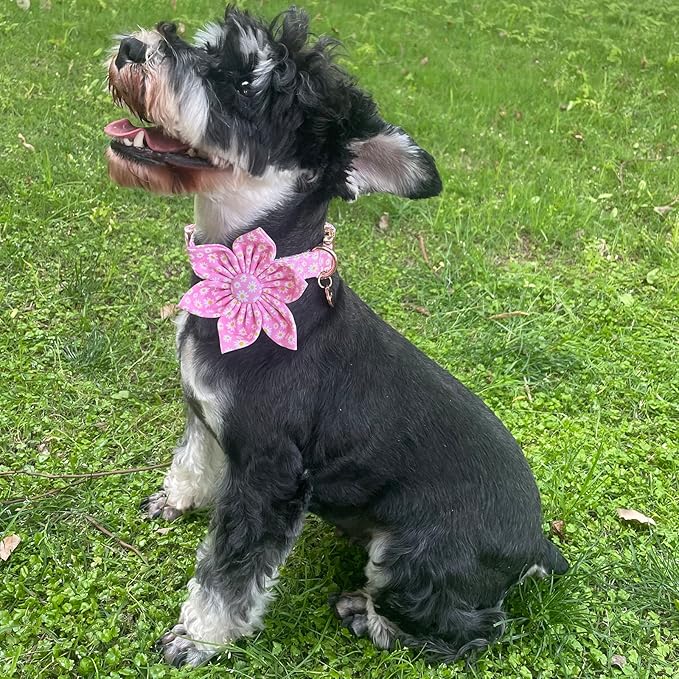 Summer Dog Collar with Pink Daisy Flower, Cotton, XL, Extra Large Dog, Comfortable Blue Collar with Metal Buckle, Detachable Flower