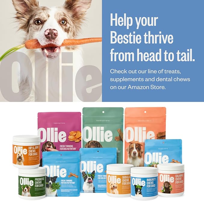 Ollie Dental Chews for Extra Small Dogs, 12 Oz, Fresh Breath, Teeth Cleaning Treats, Sticks for Dog Oral Care, with Parsley and Cinnimon, for Pups 5-15 lbs