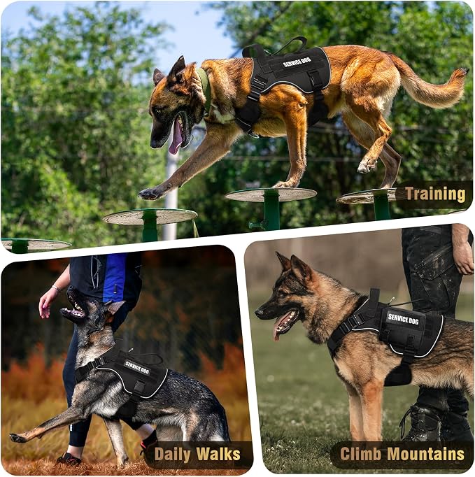 WINSEE Tactical Dog Harness for Medium Dog, Heavy Duty Service Working MOLLE Vest with 10 Pet Patches, 2X Metal Buckle Vest for Training Hunting Walking