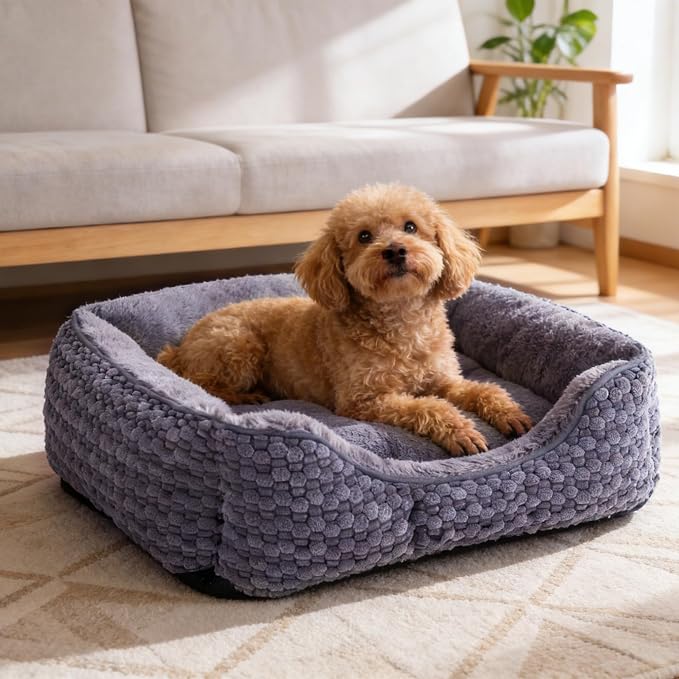 Plush Dog Bed Large, Dark Grey, Machine Washable, Dog Beds Sofa with Pillow Support, 30x24Inch, Corn Kernel Design, Non-Slip Bottom, Thick PP Cotton Padding