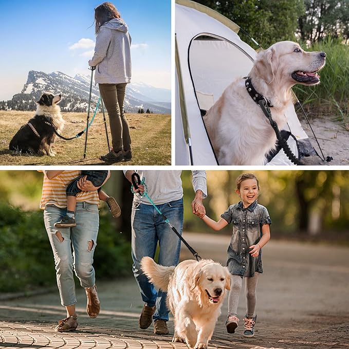jenico Long Dog Leash 10FT: Heavy Duty Rope Leashes for Dogs Training with Swivel Lockable Hook Reflective Threads Bungee and Padded Handle - Dog Lead for Large Small Medium Dogs Outside Walking