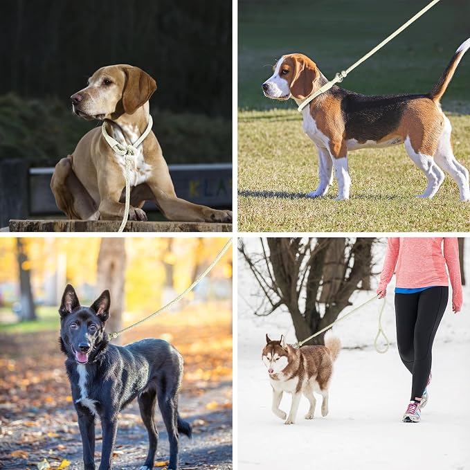 Lynxking Dog Leash Slip Lead Reflective Breathable Rope Comfortable Strong No Pull Slip On Pet Training Lead for Dogs (Beige, Large 1/2 inch x 6ft)