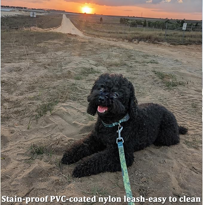 WYuZe Waterproof Dog Leash 12FT, Odor-Proof Strong Coated Nylon Leash Easy to Clean, Lightweight for Small Dogs Outside Walking, Training, Beach Playing (12ft, Forest)