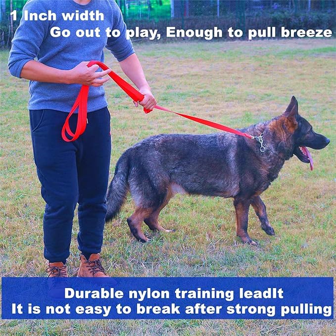 Strong Durable Nylon Dog Training Leash, 1 Inch Wide Traction Rope, 6 ft 10ft 15ft Long, for Small and Medium Dog (Rainbow, 10 Feet)