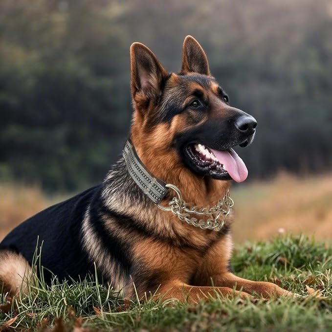 Martingale Dog Collars, Reflective Nylon Collar with Stainless Steel Chain, Adjustable Walking Training Dog Collars with Quick Release Buckle, Suitable for Small Medium Large Dogs(Gray,S)