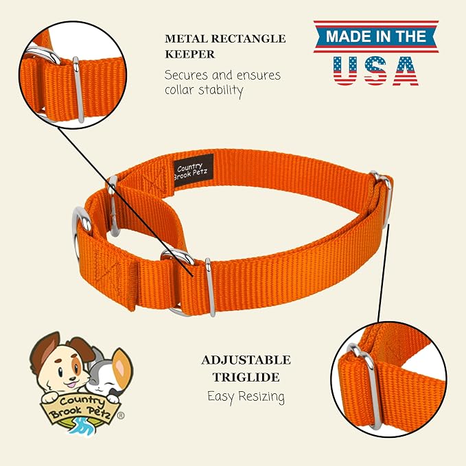 Country Brook Petz - Martingale Dog Collar - Heavy-Duty Training Collar with No Buckle - Service Dog Collar for All Pups - 20 Vibrant Colors (Orange, 3/4 Inch, Small)