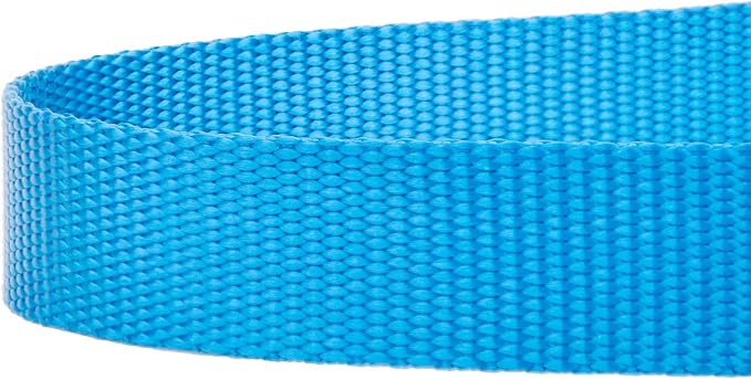Country Brook Petz - Everyday Nylon Dog Leash - Strong, Durable, Solid Color Leash with Easy to Use Snap - 25+ Colors (1 Inch Wide, 6 Foot, Ice Blue)