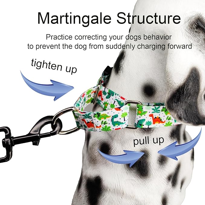 Martingale Dog Collars with Buckle No Pull Training Dog Collar for Large Dogs (Green Dinosaur, Large)