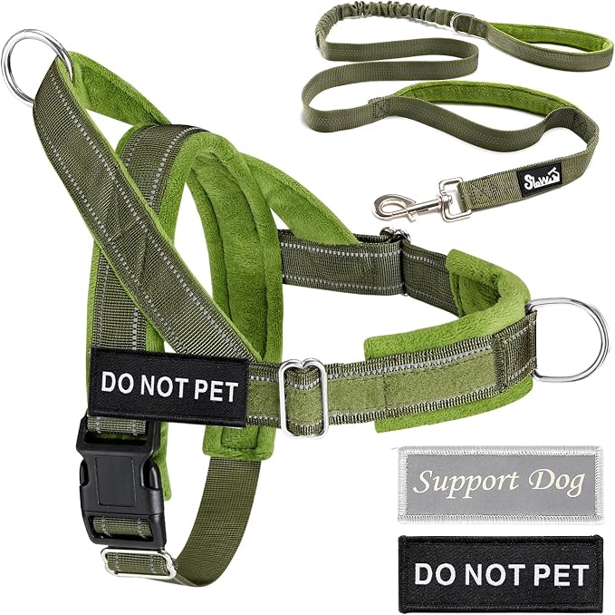Lukovee No Pull Dog Harness and Leash Set - Adjustable Soft Padded Vest with Front Clip for Easy Control, Reflective Durable Harness for Safe Daily Training Walking for Medium Large Dogs (XL, Green)
