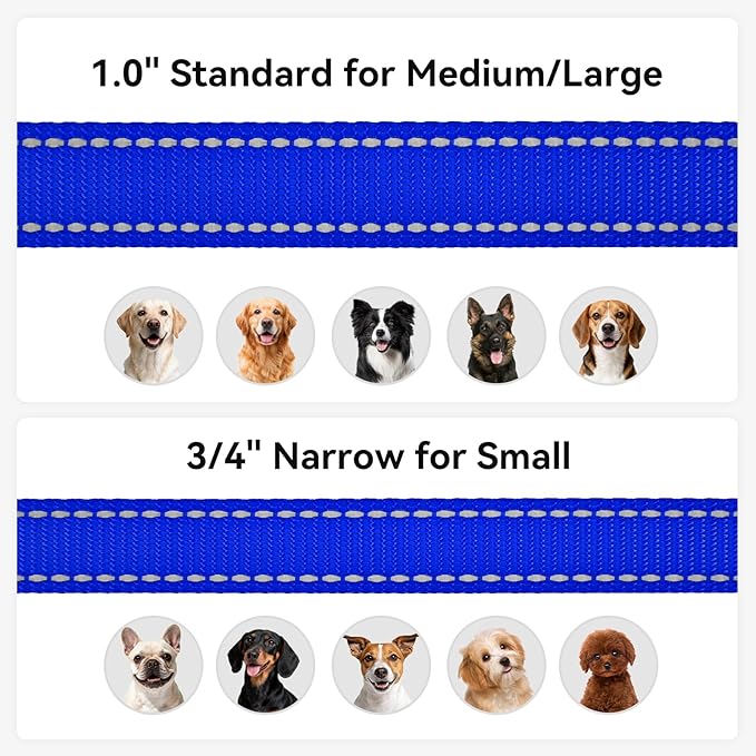 Joytale Dog Leash, 4 FT Double-Sided Reflective, Padded Handle Nylon Heavy Duty Leashes for Medium & Large Dogs Walking, Navy Blue