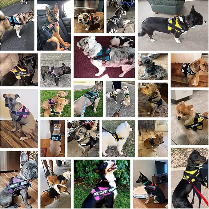 Dog Harness, No-Pull Reflective Dog Vest, Breathable Adjustable Pet Harness with Handle for Outdoor Walking - No More Pulling, Tugging or Choking Small (Pack of 1) RoseTurquoise