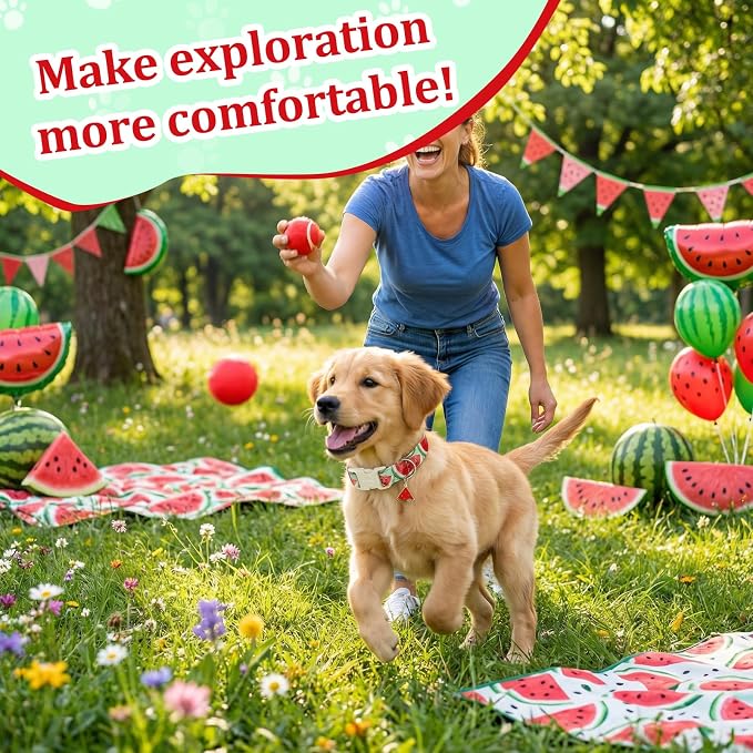 Summer Dog Collar with Watermelon, Adjustable Cotton Puppy Collars for Small Medium Large Dogs, Cute Girl or Boy Dog Collar Ideal for Gifts,Pet Accessory,XS