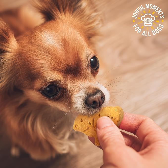 Blue Dog Bakery More Crunch Small Chicken Treats, Dog Biscuits for All Breeds, Healthy Treats, All Natural, 5 lb Box (Pack of 1)