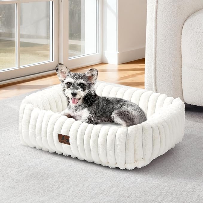 Cute Dog Bed for Small Dogs & Cats,Washable Fluffy Cat Beds for Indoor Cats, Rectangle Orthopedic Memory Foam Puppy Beds with Anti-Slip Bottom, 20 x19 x 7 Inches, Cream(20x19x6inchs)