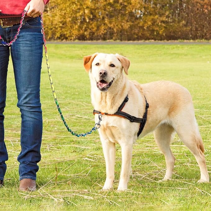 Heavy Duty Metal Dog Chain Leash with Comfortable PU Leather Padded Handle, Chew Proof for Medium Large Pooch Walking Training (6FT 3.5mm Colorful)