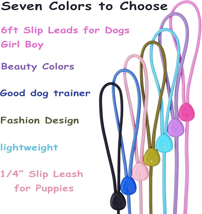 Slip Lead for Dogs 6FT Strong Training Leash Heavy Duty No Pull Comfortable Rope Lightweight for Small Medium Dogs (Blue)