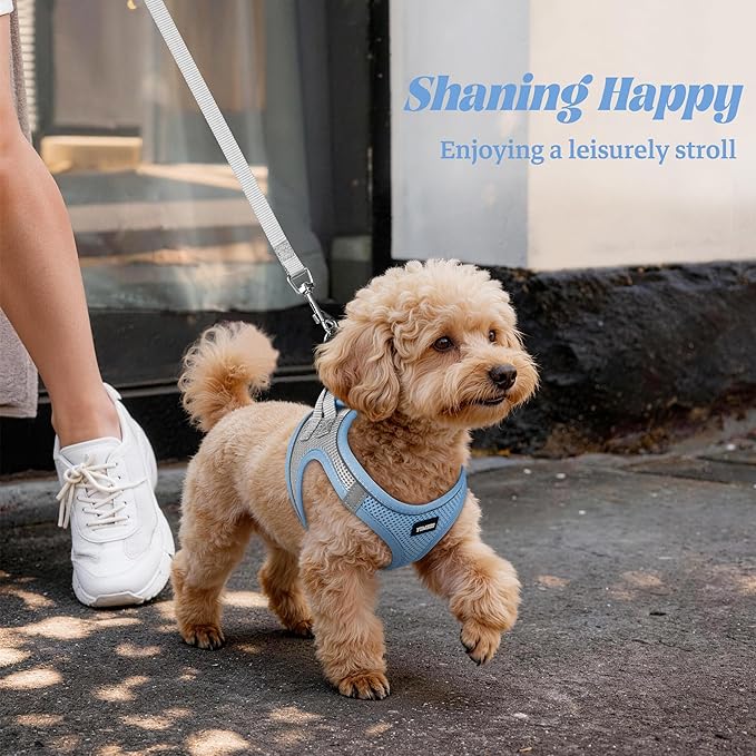 YIMEIS Dog Harness and Leash Set, No Pull Soft Mesh Pet Harness, Reflective Adjustable Puppy Vest for Small Medium Large Dogs, Cats (Greyblue, X-Small (Pack of 1)