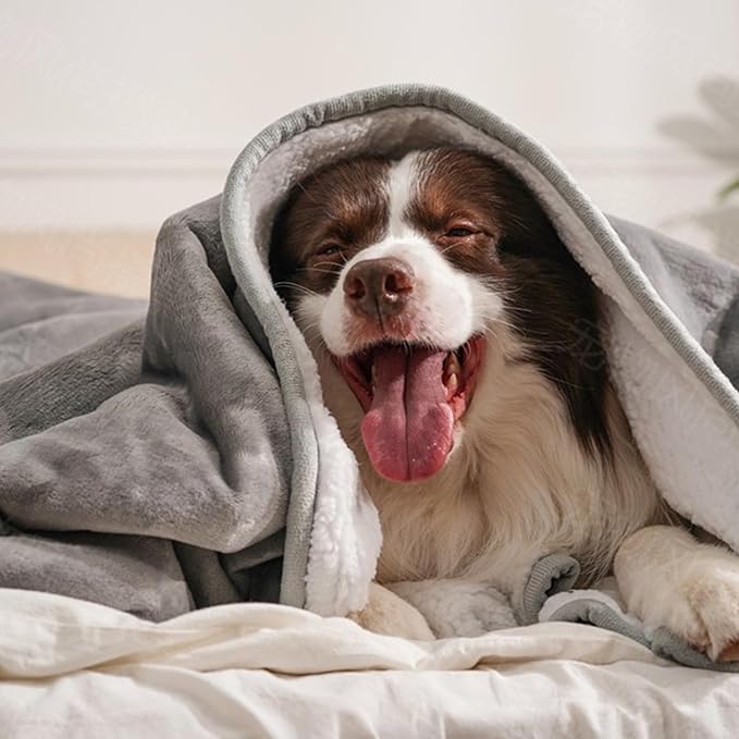 gogobunny Waterproof Bed Blanket, Reversible Sherpa Fleece Throw Blanket for Dog Puppy Cat, Furniture Cover Protects Bed Couch Sofa from Liquid Pee and Pet Fur (Grey, 25x35 inches)