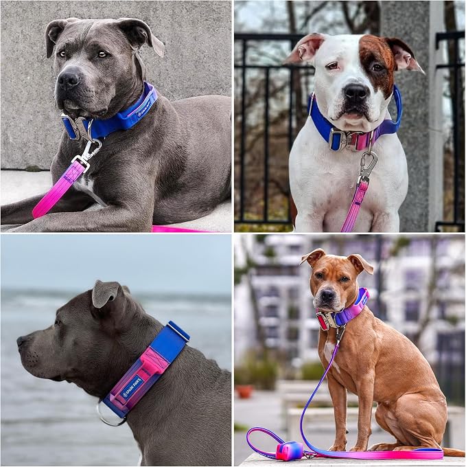 Spark Paws Tactical Dog Collar with Handle - Premium Quality Collar, Robust and Durable Design for Large, Strong Breeds - Pitbulls, Labradors, GSD - Snow Cone - L -1.5"