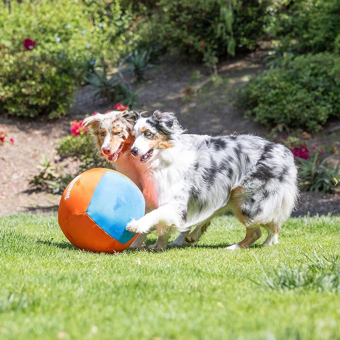 Chuckit! Big Air Fetch Ball Dog Toy (14 Inch) Herding Instincts Dog Toy, for Interactive, Non-Chewing Activities, for All Breeds, Inflating Pump Included