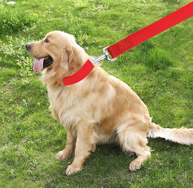 TAIAN 4FT/5FT/6FT Strong Dog Leash, Nylon Dog Leashes for Small Medium Large Dogs (Red, 1 in x 15 ft)