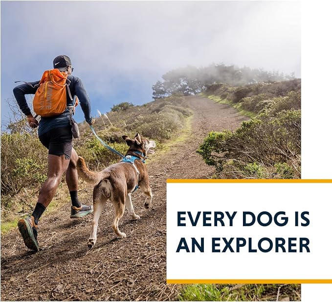 Ruffwear, Hi & Light, Everyday Lightweight Dog Harness, Trail Running, Walking, Hiking, All-Day Wear, Lichen Green, X-Small
