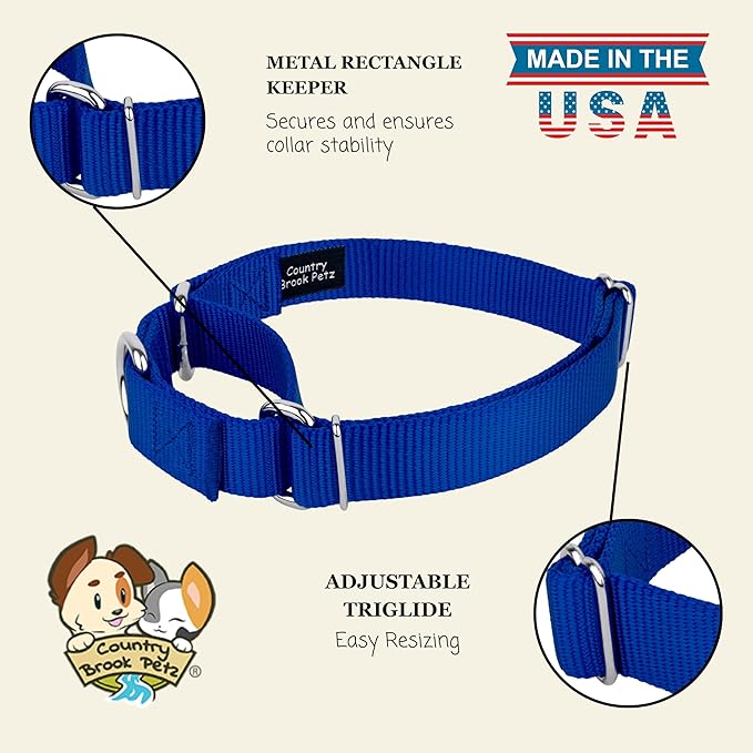 Country Brook Petz - Martingale Dog Collar - Heavy-Duty Training Collar with No Buckle - Service Dog Collar for All Pups - 20 Vibrant Colors (Royal Blue, 1 Inch, Large)