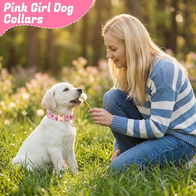3 Pack Pink Dog Collars for Small Dogs Girl Dog Collar with Pendant for Girl Female Dogs Adjustable Puppy Collars Pet Collar