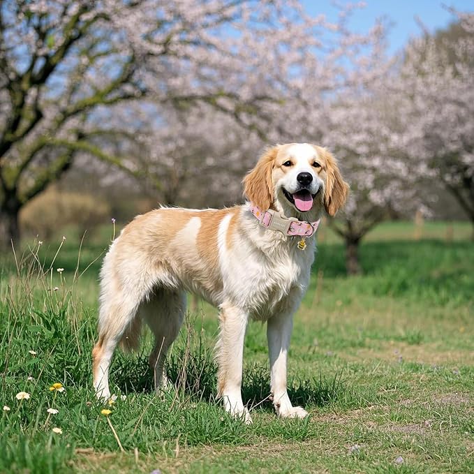 ARING PET Spring Summer Dog Collar, Cute Pink Bee Daisy Floral Pet Collars with Quick Release Buckle for Puppy Small Medium Large Boy Girl Dogs-S