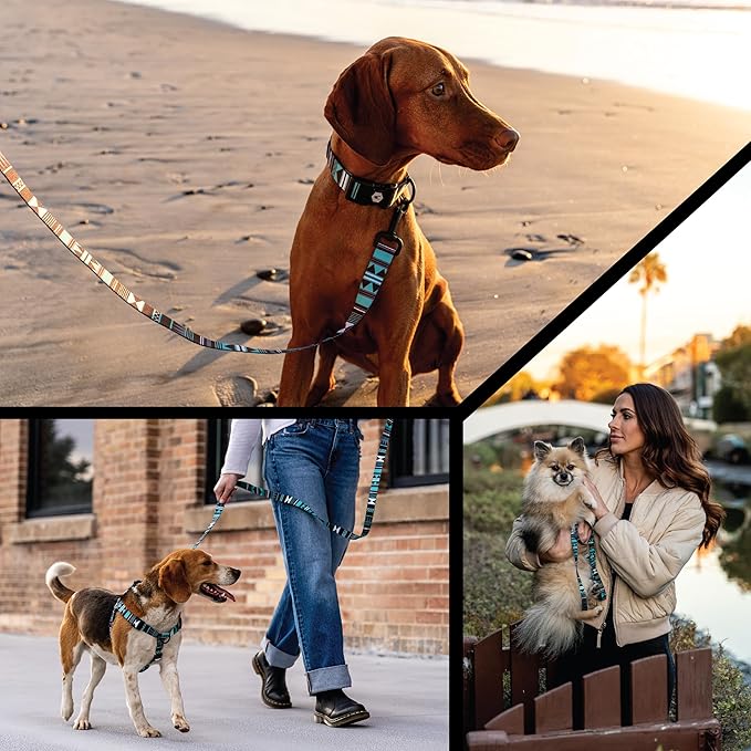 Wolfgang Heavy Duty, Adjustable Dog Collar with Quick Release Nylon Buckle for Walking & Training, WesternSky Print, Small