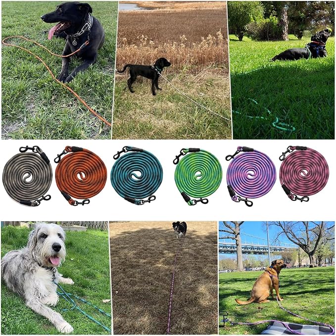 BTINESFUL 8ft 12ft 20ft 30ft 50ft 75ft Dog Tie Out Long Tether Rope Dog Lead, Outdoor Yard Leash, Large Medium Dogs Training, Playing, Camping, Backyard (Green, 50 Foot)