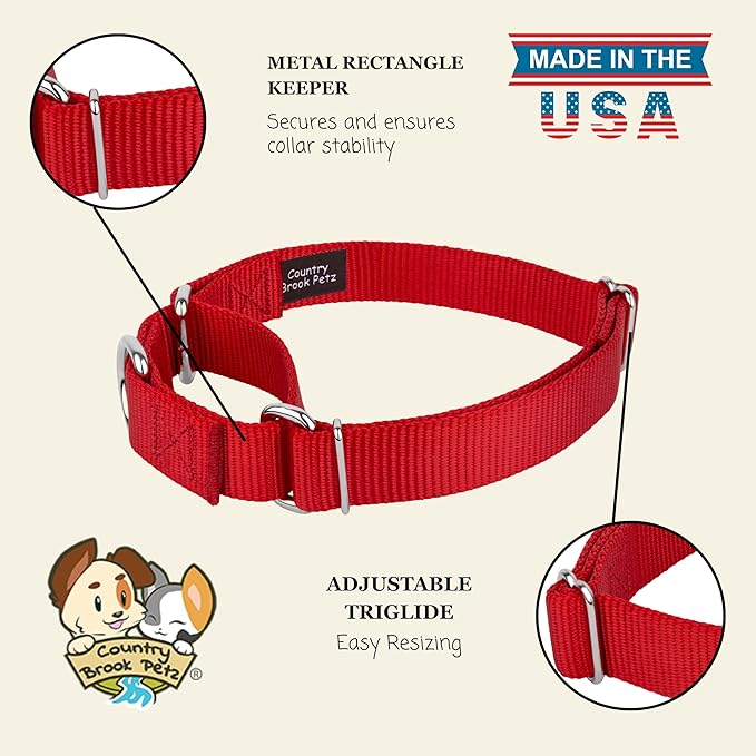 Country Brook Petz - Martingale Dog Collar - Heavy-Duty Training Collar with No Buckle - Service Dog Collar for All Pups - 20 Vibrant Colors (Red, 3/8 Inch, 3XS)