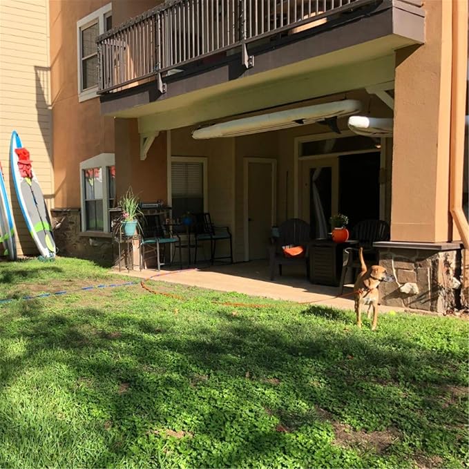 Siumouhoi Dog/Puppy Obedience Recall Training Agility Lead - 15ft 20ft 30ft 50ft Training Leash - Great for Play, Camping, or Backyard - Orange 20ft (20Feet, Orange)