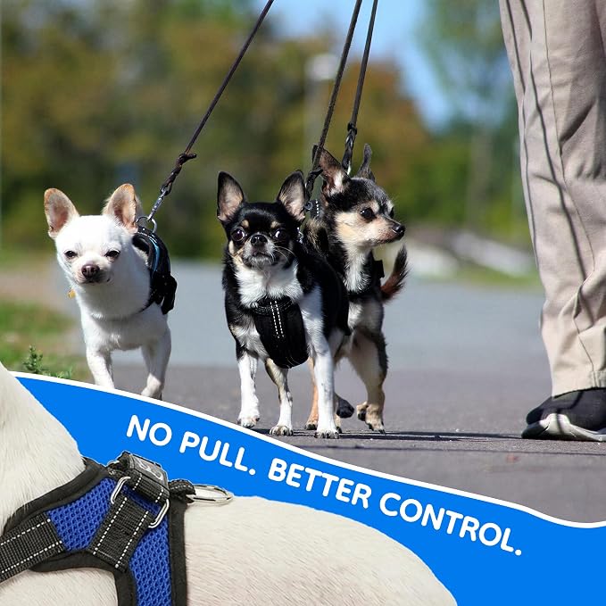 No Pull Reflective Adjustable Dog Harness With Handle- Comfortable Soft All Weather Mesh, Easy On Puppy Harness For Small Medium and Large Dogs (Blue) X-Small