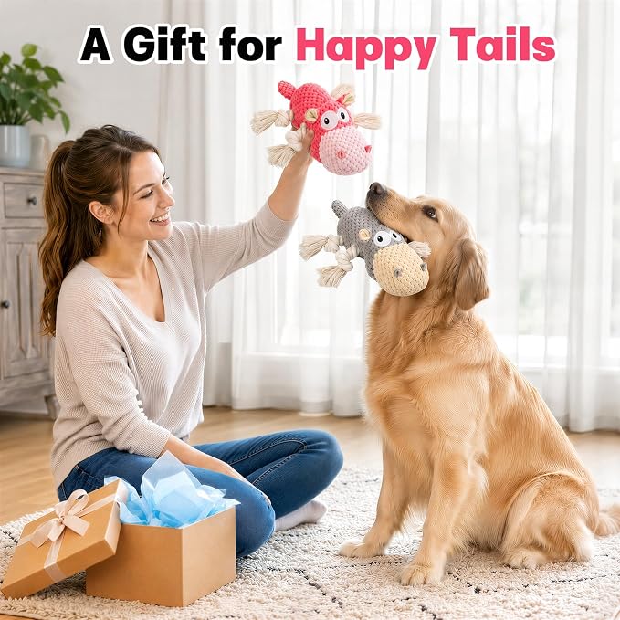 TOOPTATE Squeaky Dog Toy Set - 2-Pack Plush Dog Toys for Small Medium Large Dogs, Keep Them Busy (Gray & Pink, Medium)