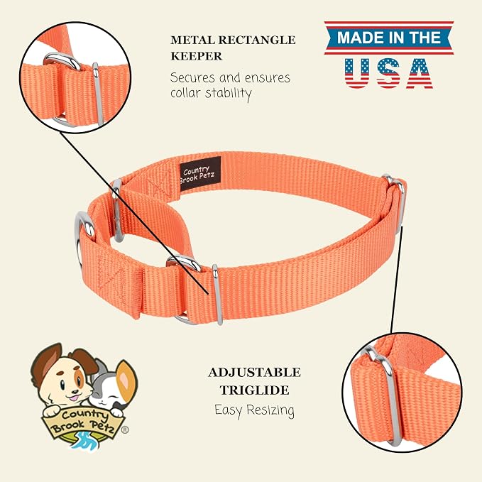 Country Brook Petz - Martingale Dog Collar - Heavy-Duty Training Collar with No Buckle - Service Dog Collar for All Pups - 20 Vibrant Colors (Mango, 3/4 Inch, Small)