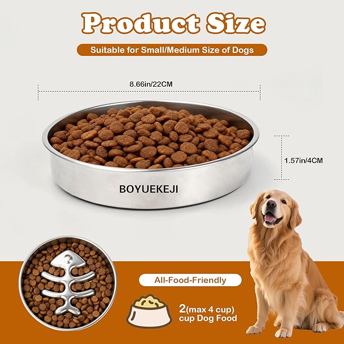 BOYUEKEJI Stainless Steel Slow Feeder Dog Bowl, 304 Grade MetalPet Food Bowl, Teddy Cat Design Insert, Healthy Feeding Solution for Dogs, Cats